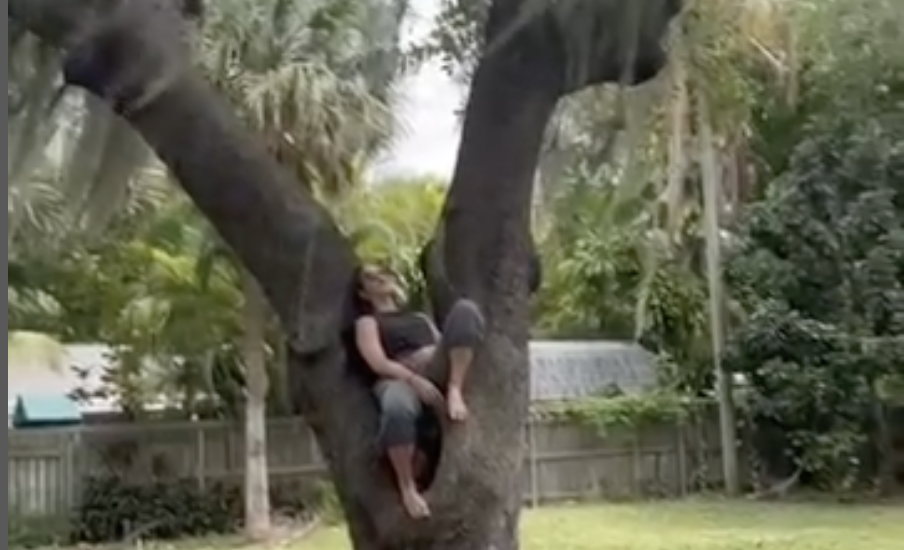 Sitting in a tree distressing