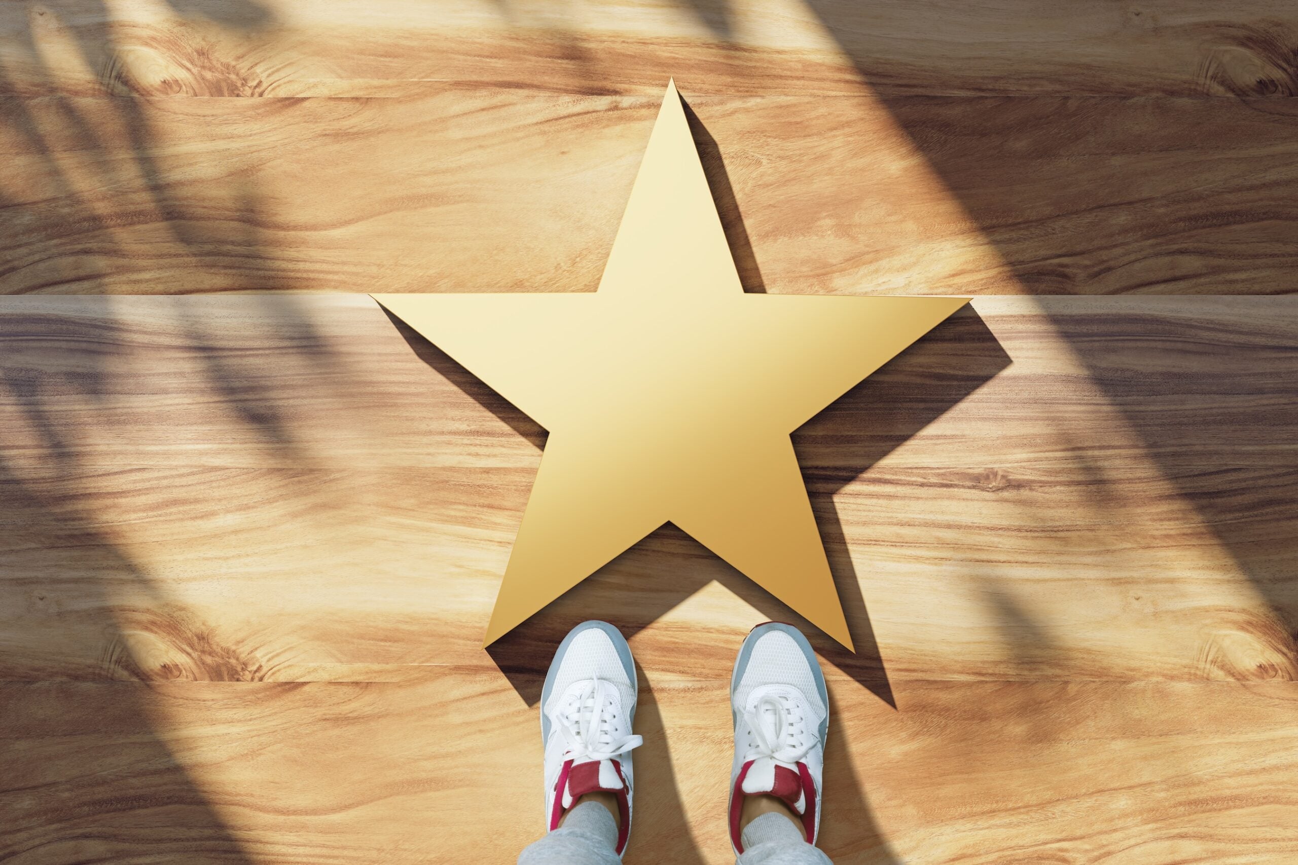Celebrity, popularity and fame
